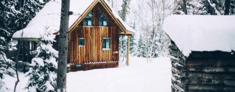 A Falcon Lake Front Cabin 2  pic by Emily Christie.jpg